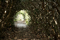 Landscapes, National Parks and State Parks