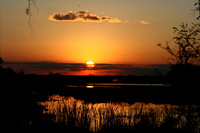 Loxahatchee